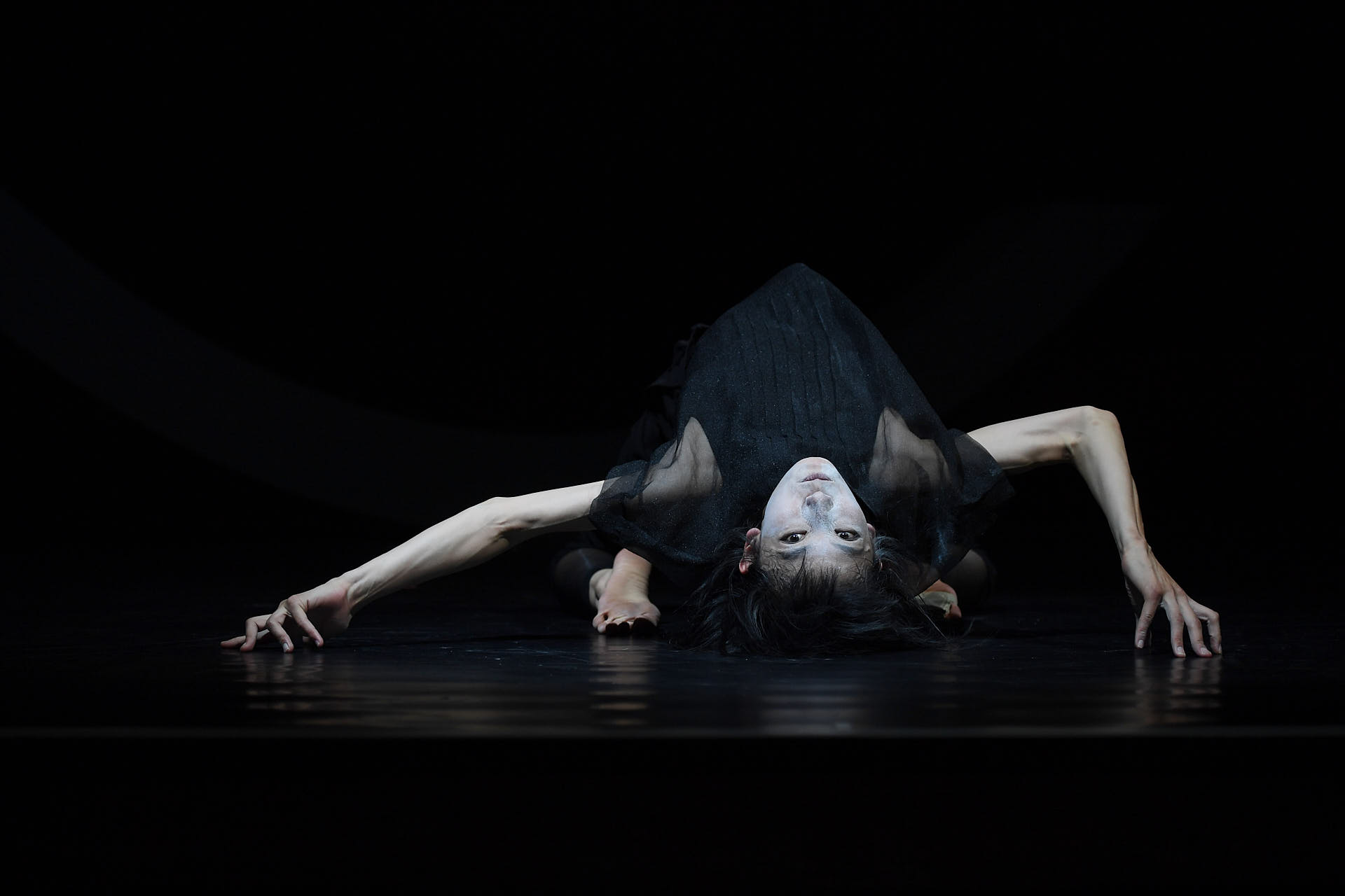 Force & Freedom, Yui Kawaguchi, 