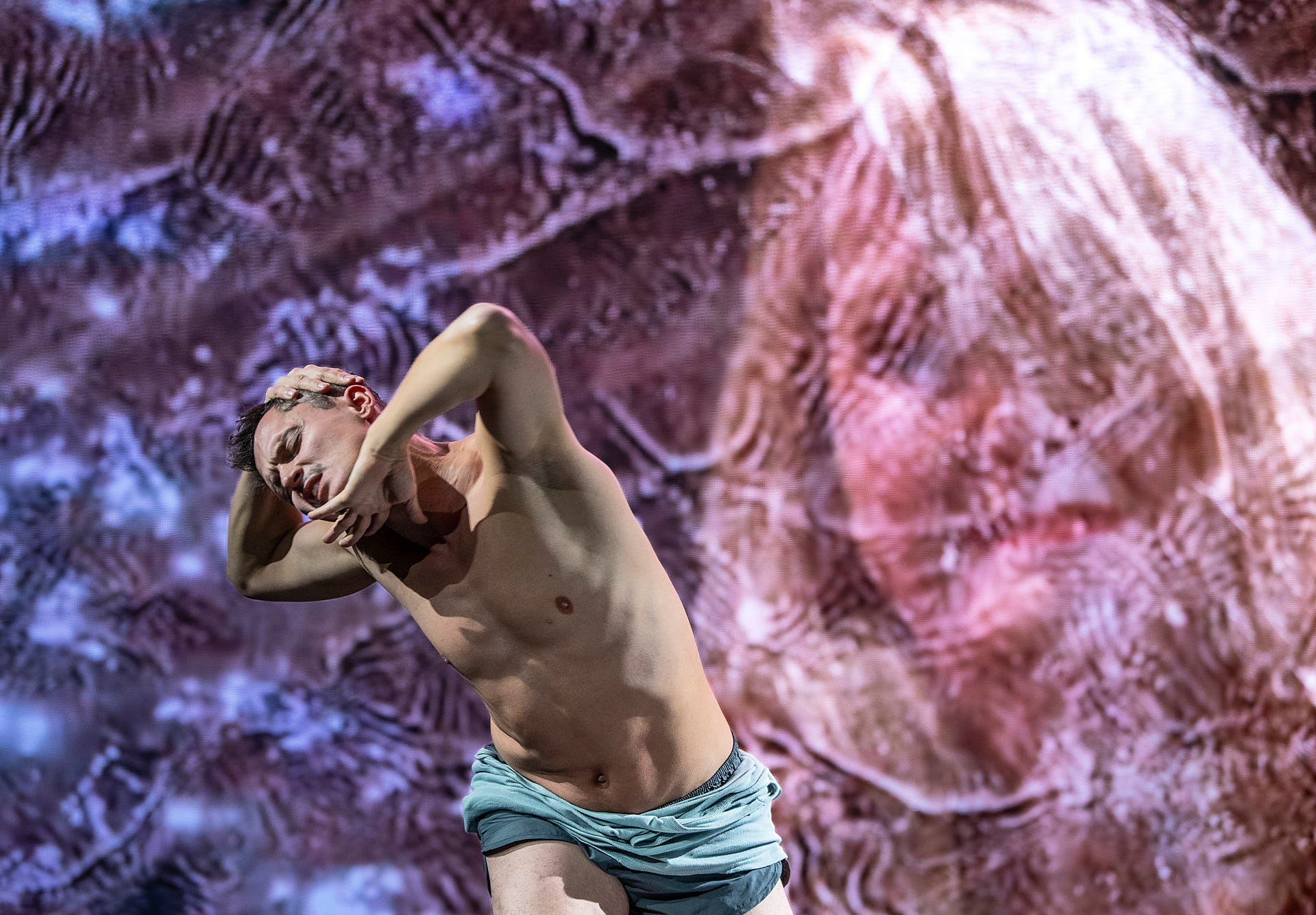 Quartett zum Quadrat, Martin Buczko, 