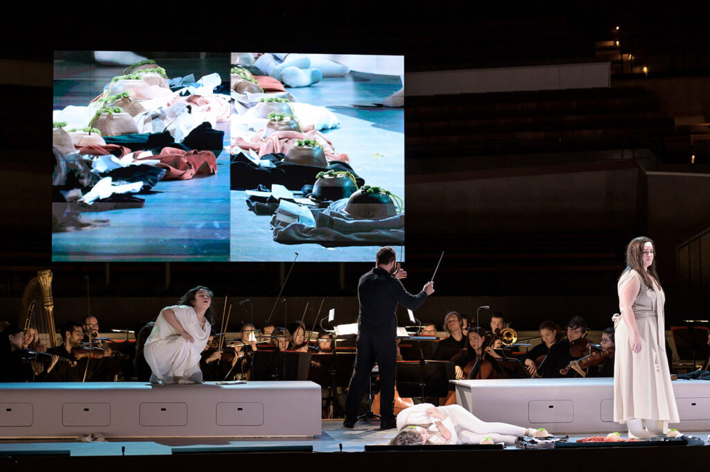  Foto: Michael Trippel