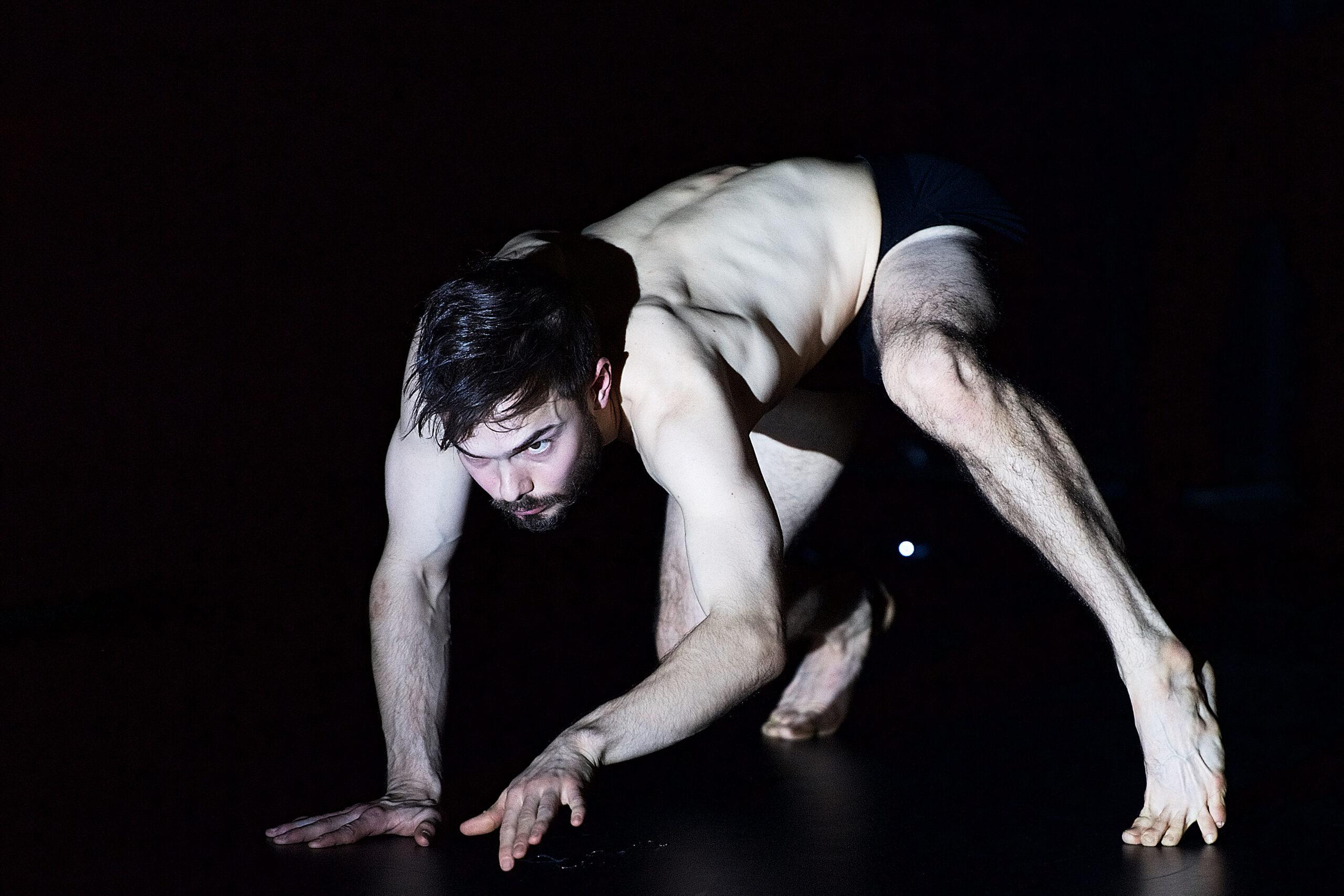 Empathy for the Devil, Florian Graul, 